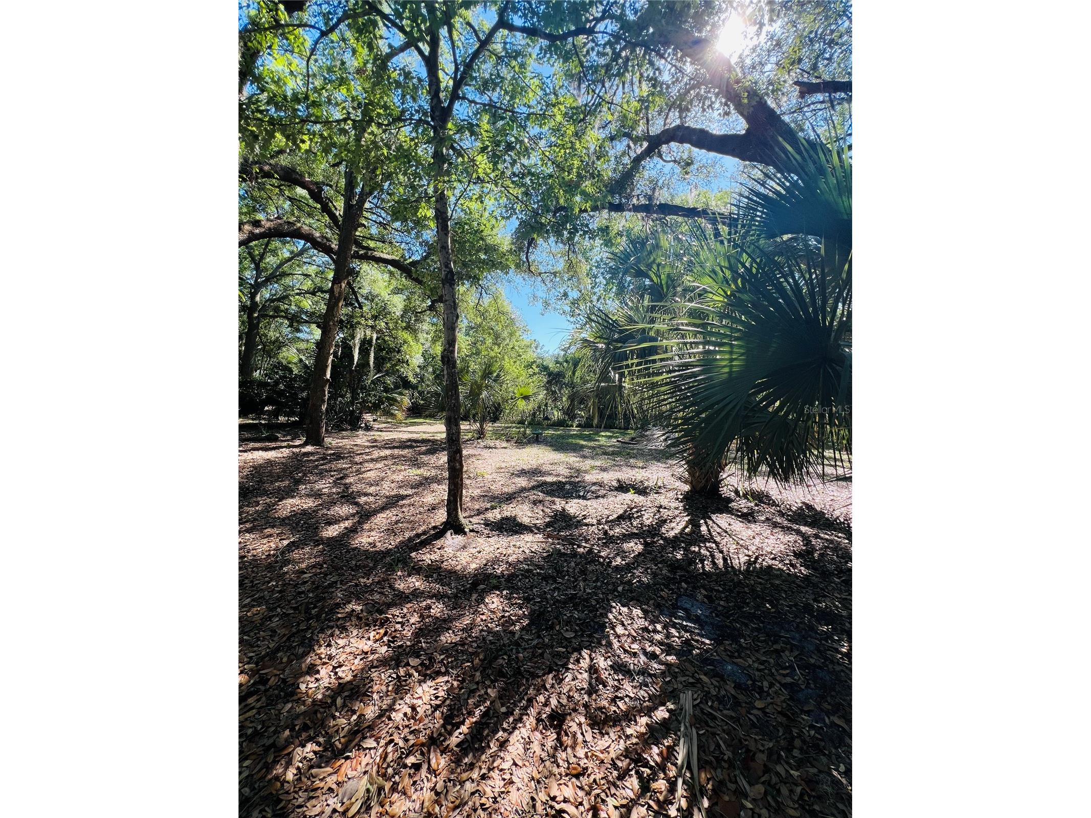 4420 Bailey Road Mulberry FL 33860 TB8506636 image24
