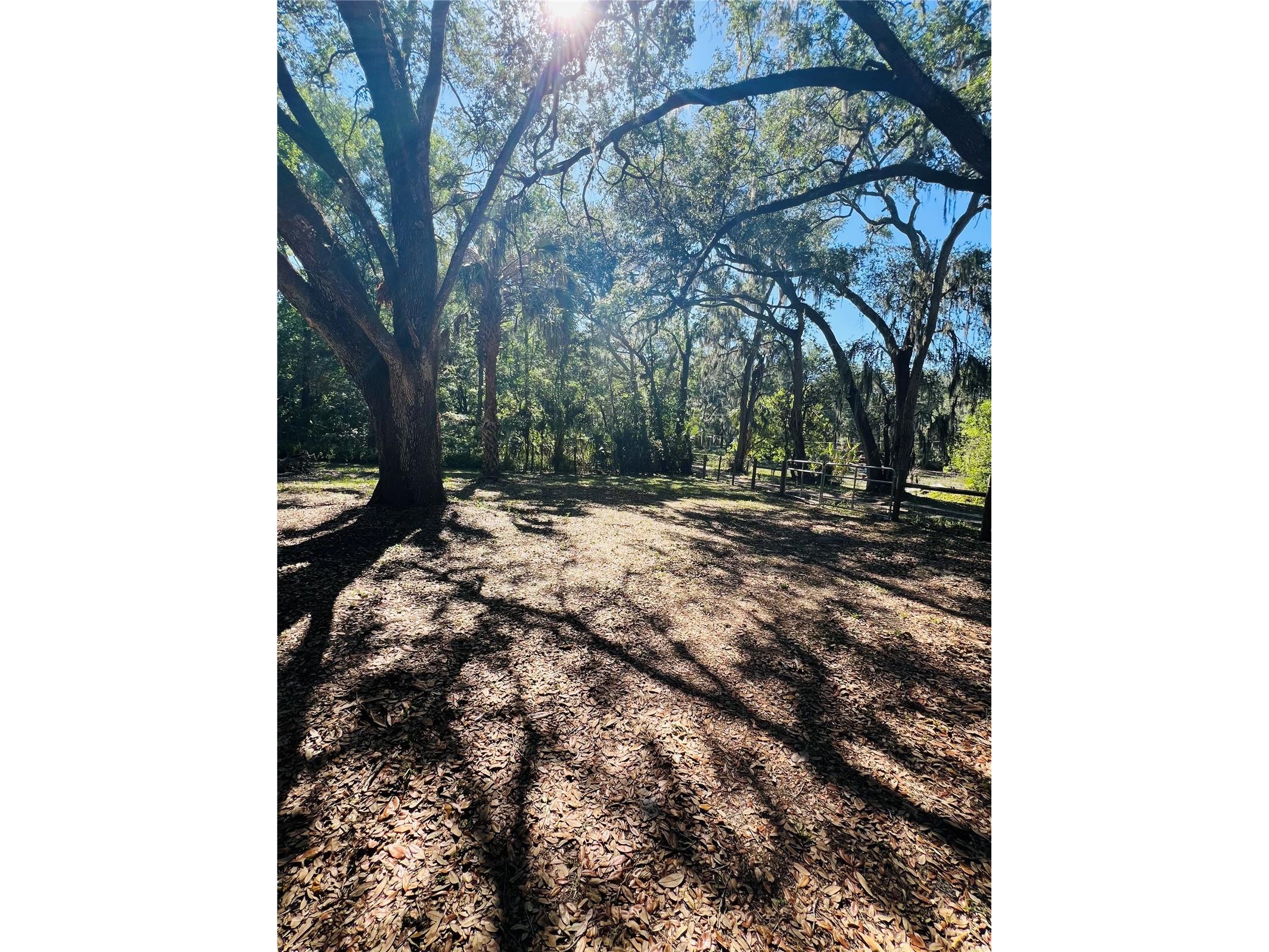 4420 Bailey Road Mulberry FL 33860 TB8506636 image25