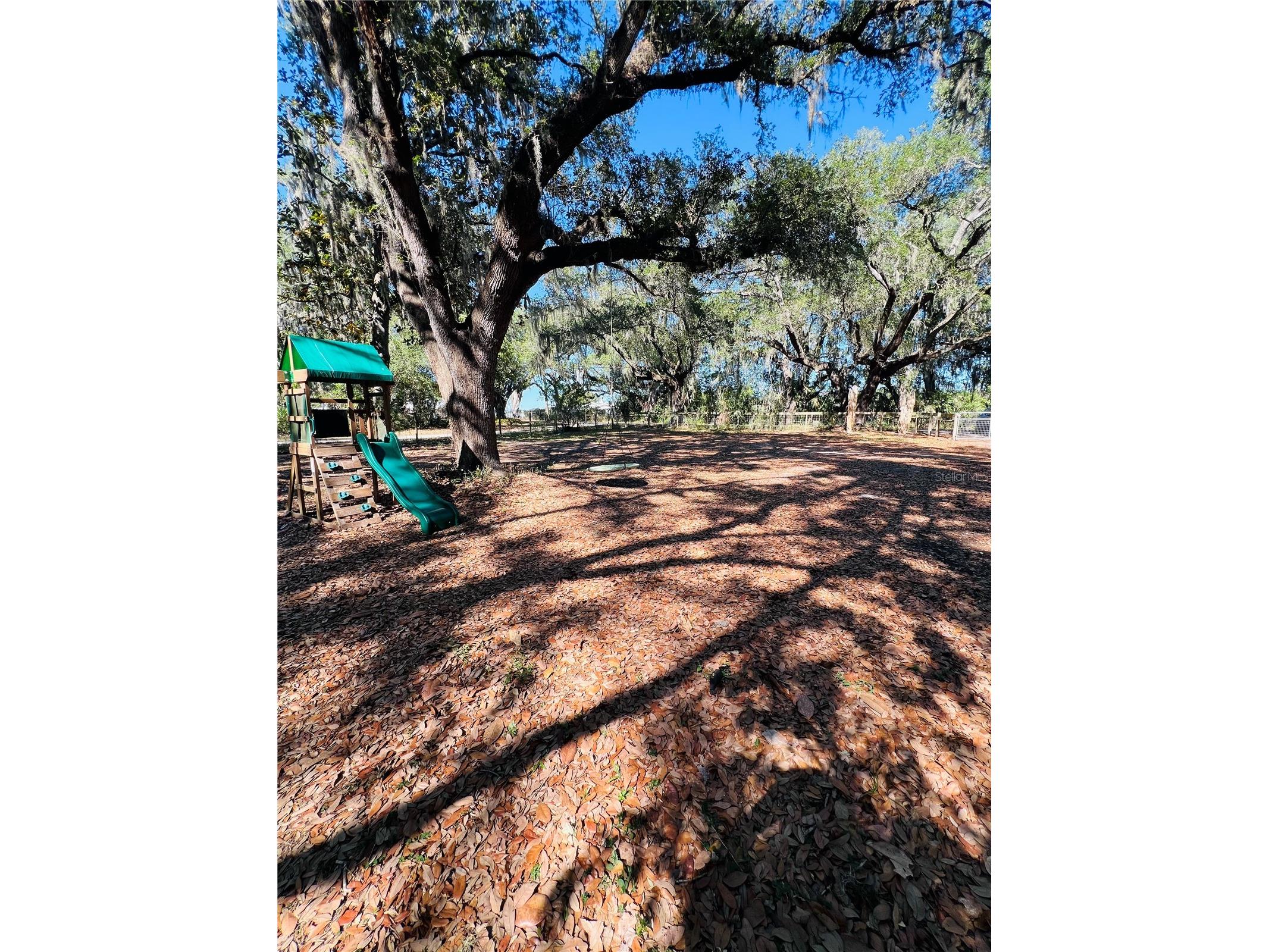 4420 Bailey Road Mulberry FL 33860 TB8506636 image27