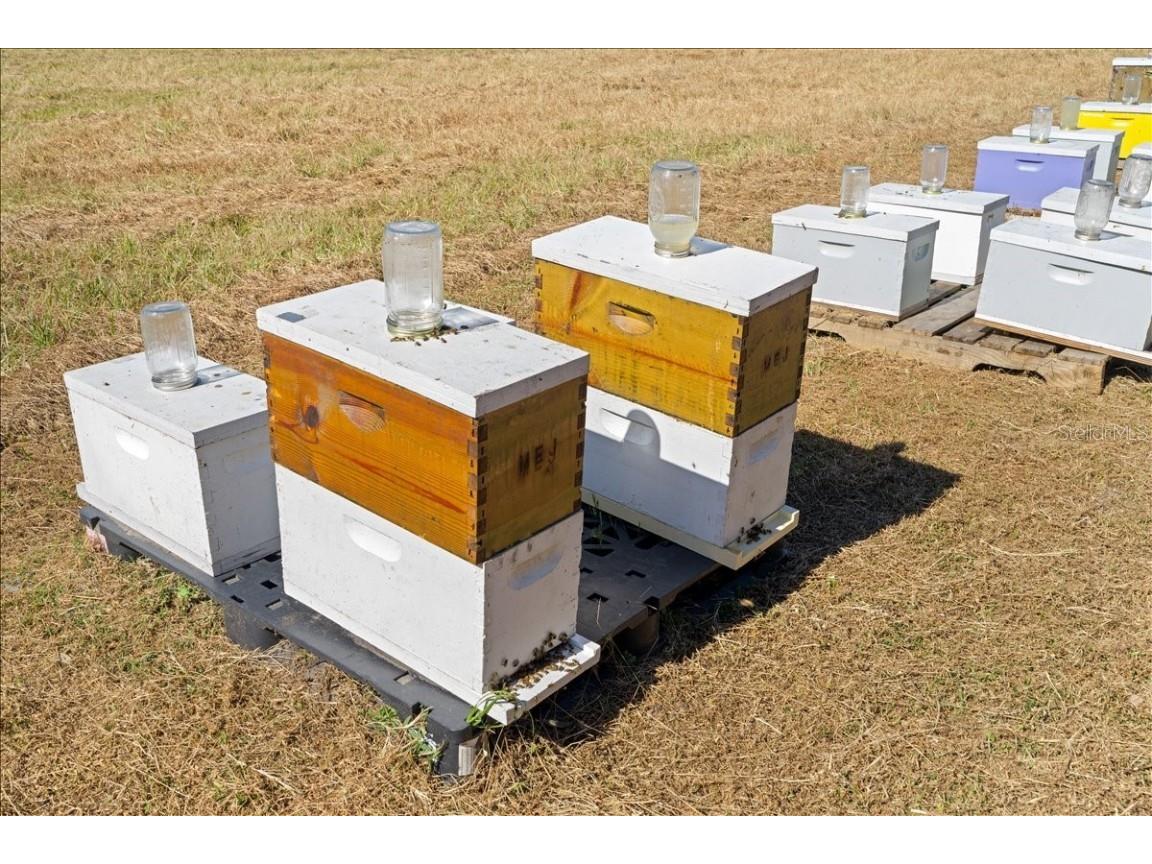 4420 Daugharty Road Deland FL 32724 V4946076 image85