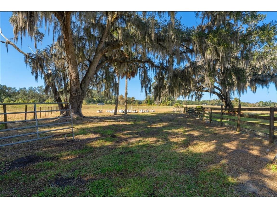 4420 Daugharty Road Deland FL 32724 V4946076 image86