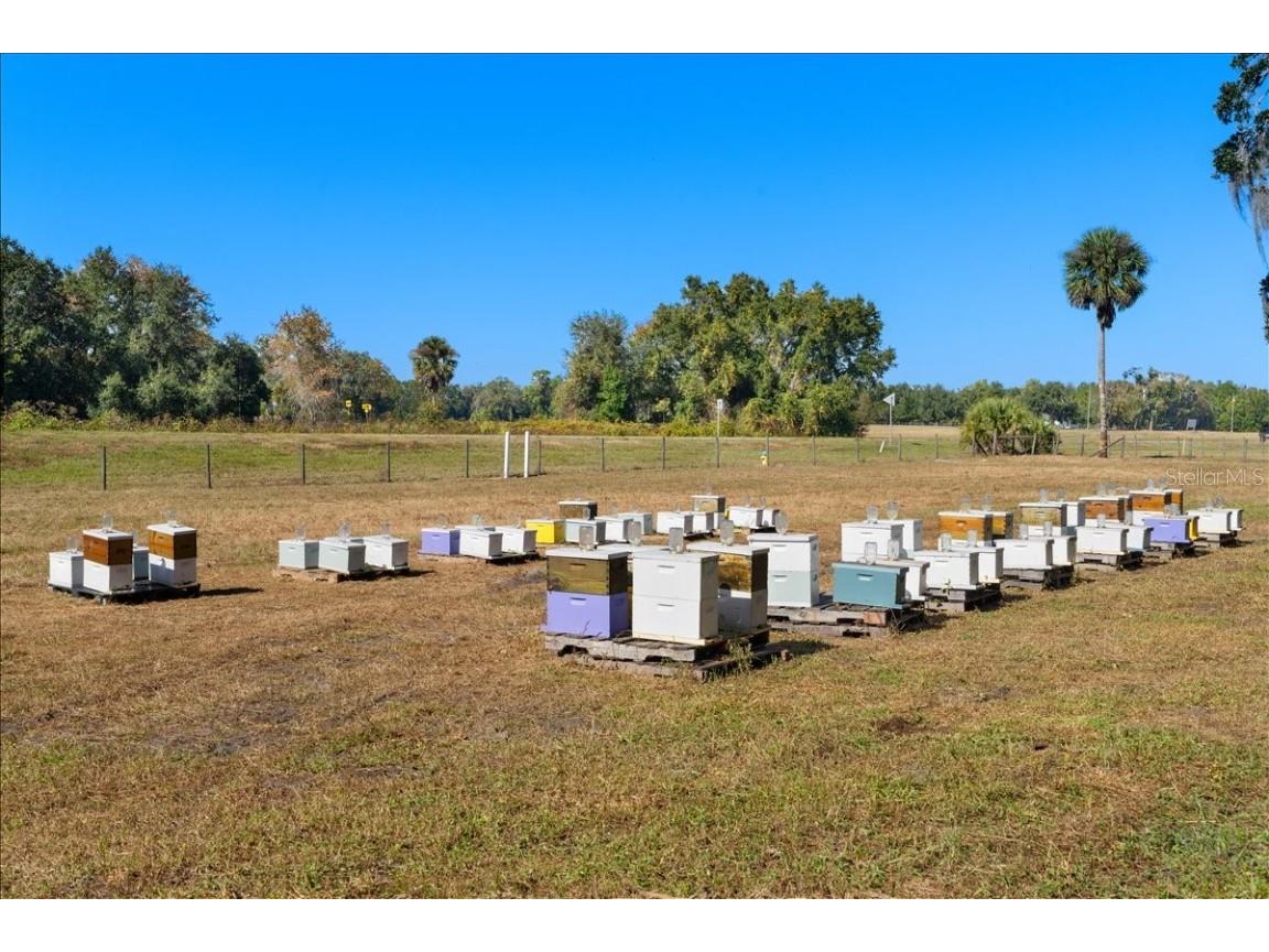 4420 Daugharty Road Deland FL 32724 V4946076 image87