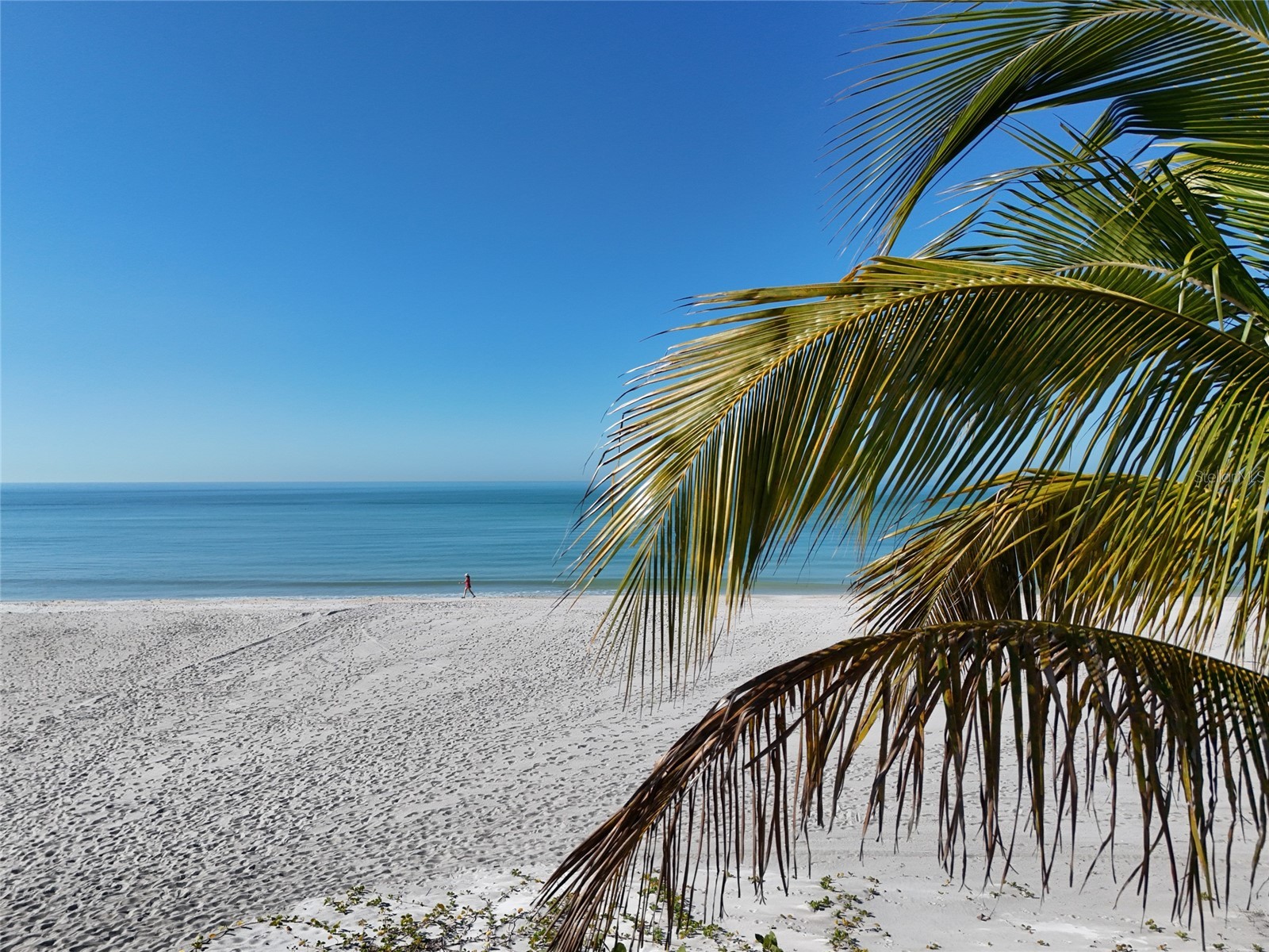 4420 Exeter Drive #303 Longboat Key FL 34228 - SARASOTA BAY TB8455704 image38