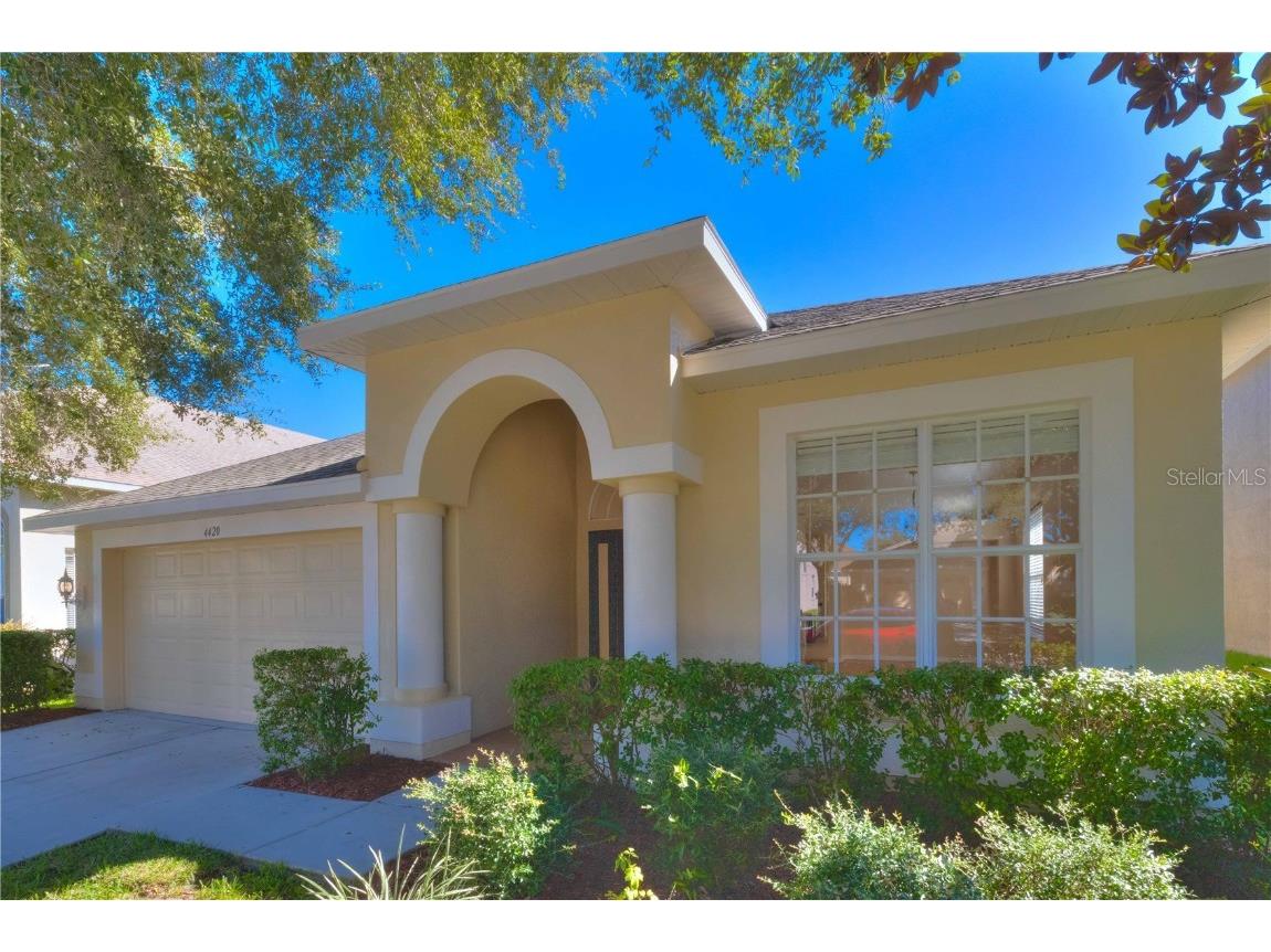 4420 Huddlestone Dr Wesley Chapel FL 33545 T3478627 image1