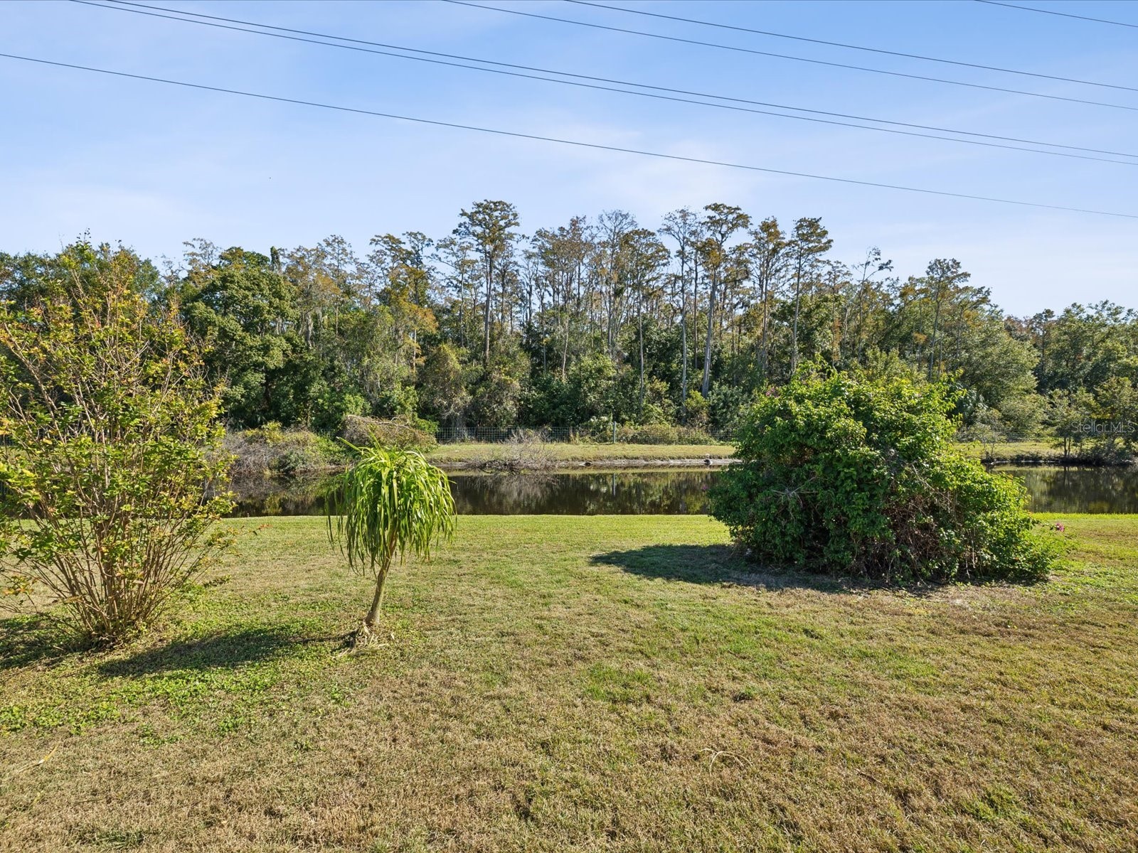 4420 Northampton Drive New Port Richey FL 34653 TB8418308 image33