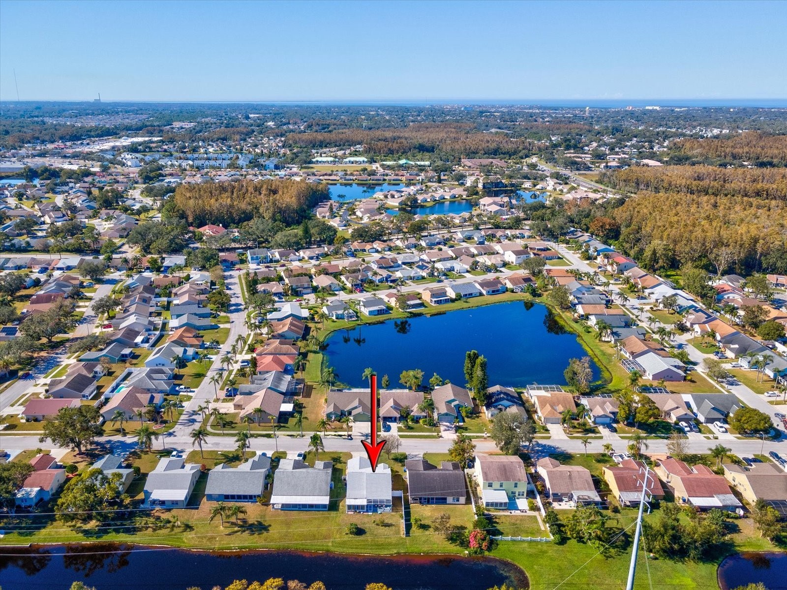 4420 Northampton Drive New Port Richey FL 34653 TB8418308 image48