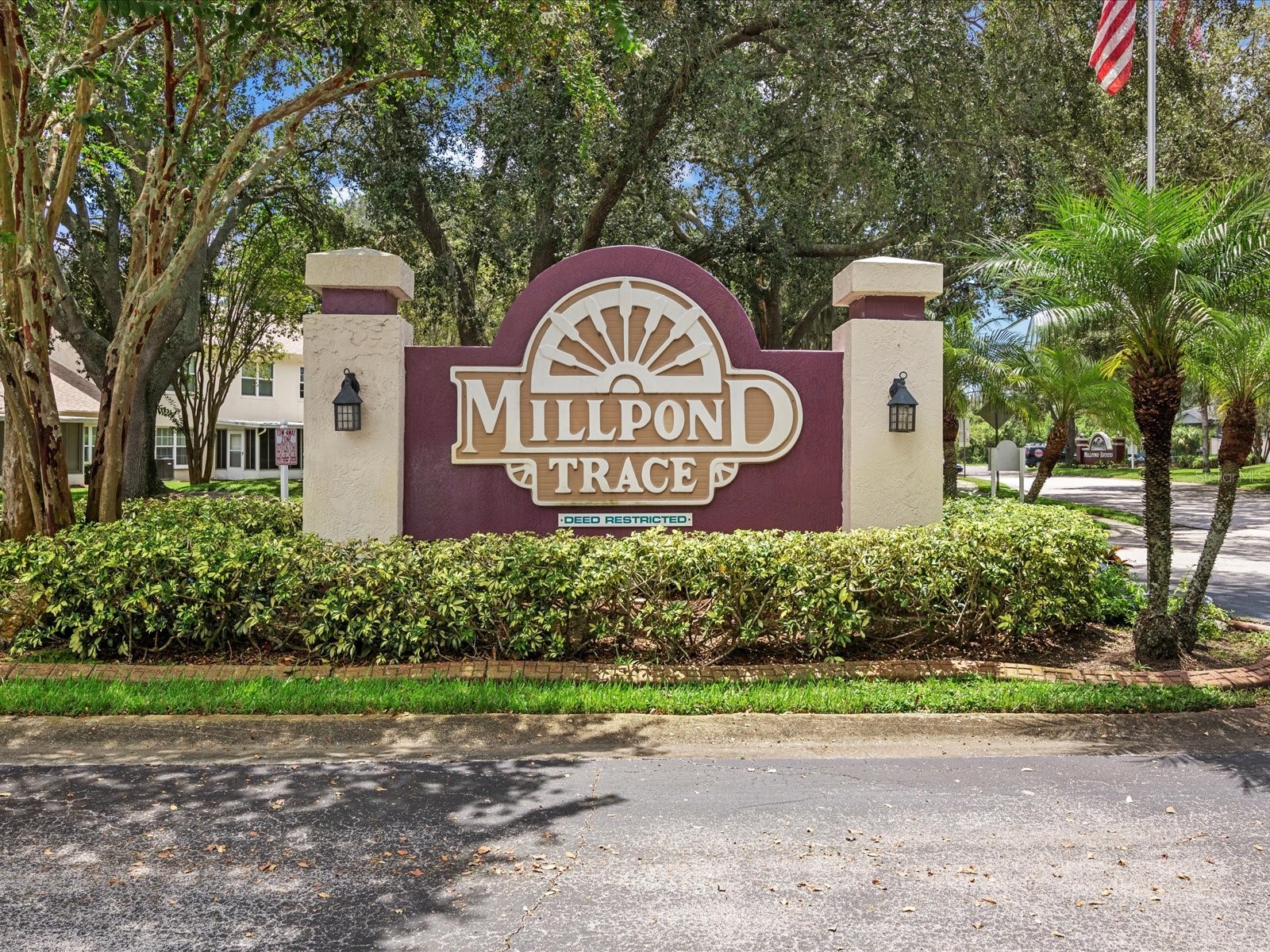 4420 Northampton Drive New Port Richey FL 34653 TB8418308 image50