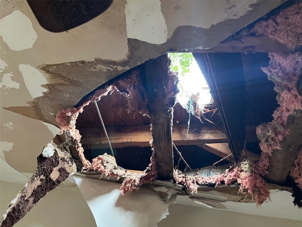 4421 Leila Avenue Tampa FL 33616 A4664677 image13