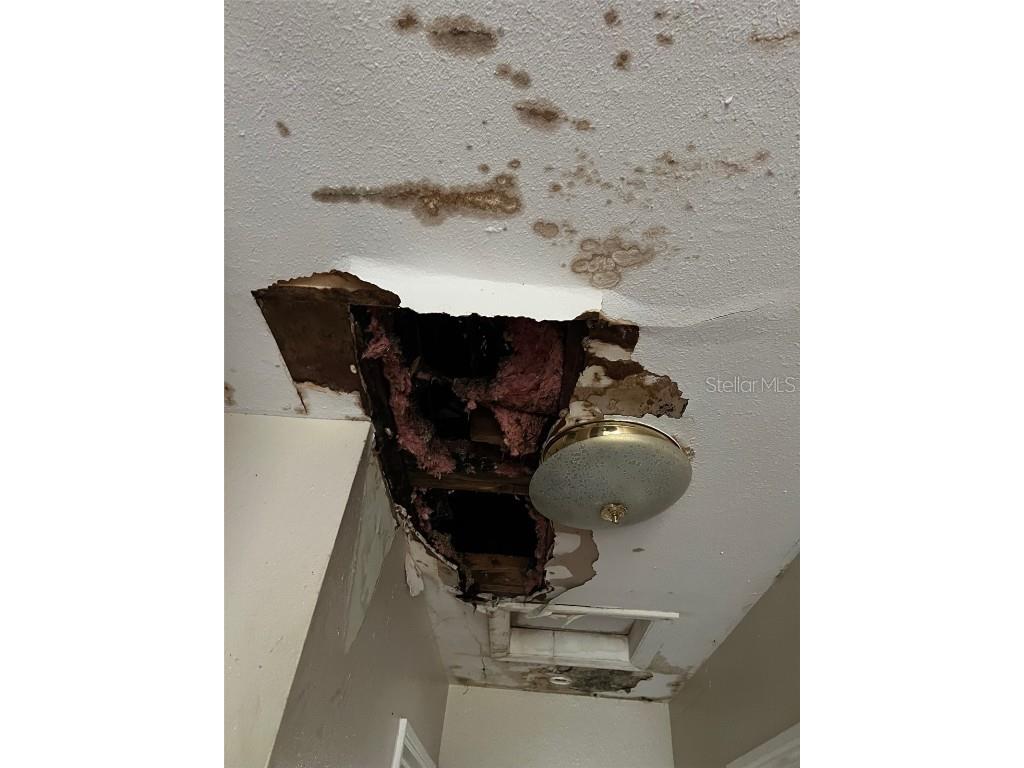 4421 Leila Avenue Tampa FL 33616 A4664677 image20