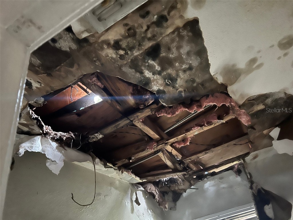 4421 Leila Avenue Tampa FL 33616 A4664677 image21