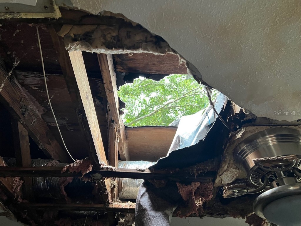 4421 Leila Avenue Tampa FL 33616 A4664677 image6