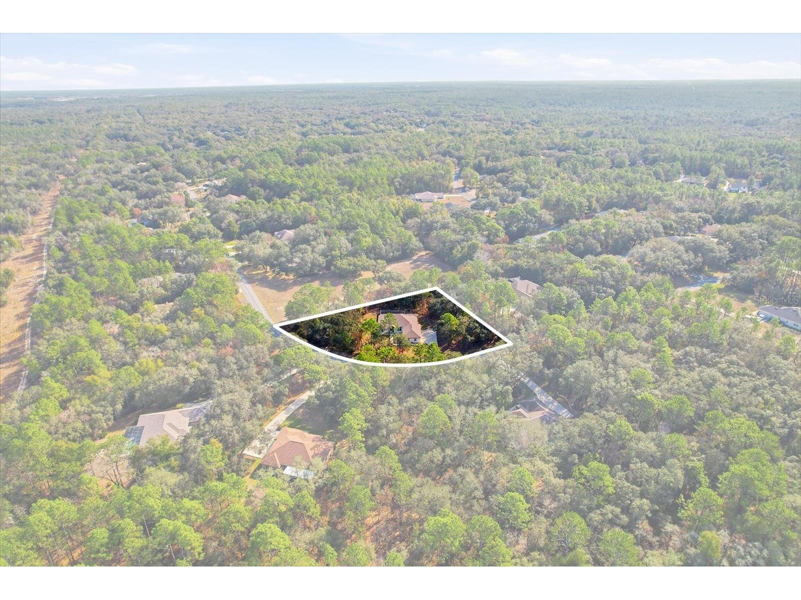 4421 N Little Dove Terrace Hernando FL 34442 TB8460481 image45