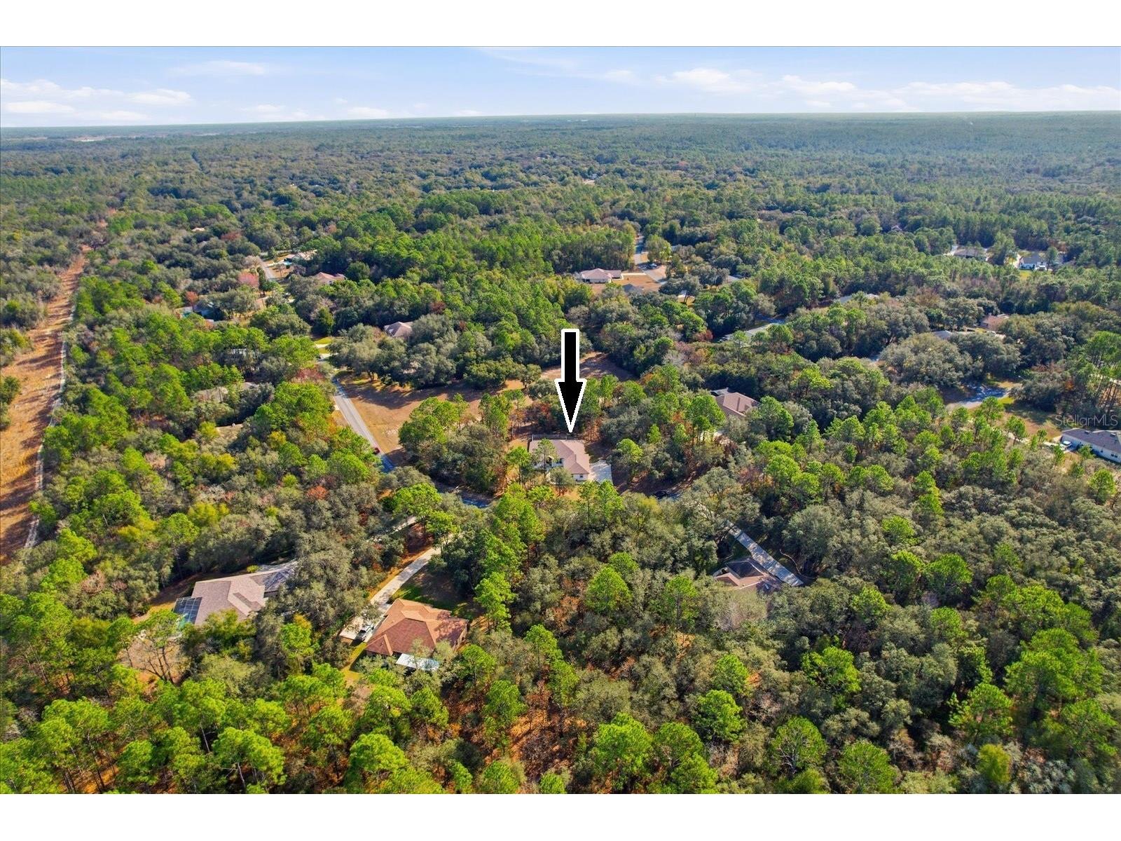 4421 N Little Dove Terrace Hernando FL 34442 TB8460481 image48