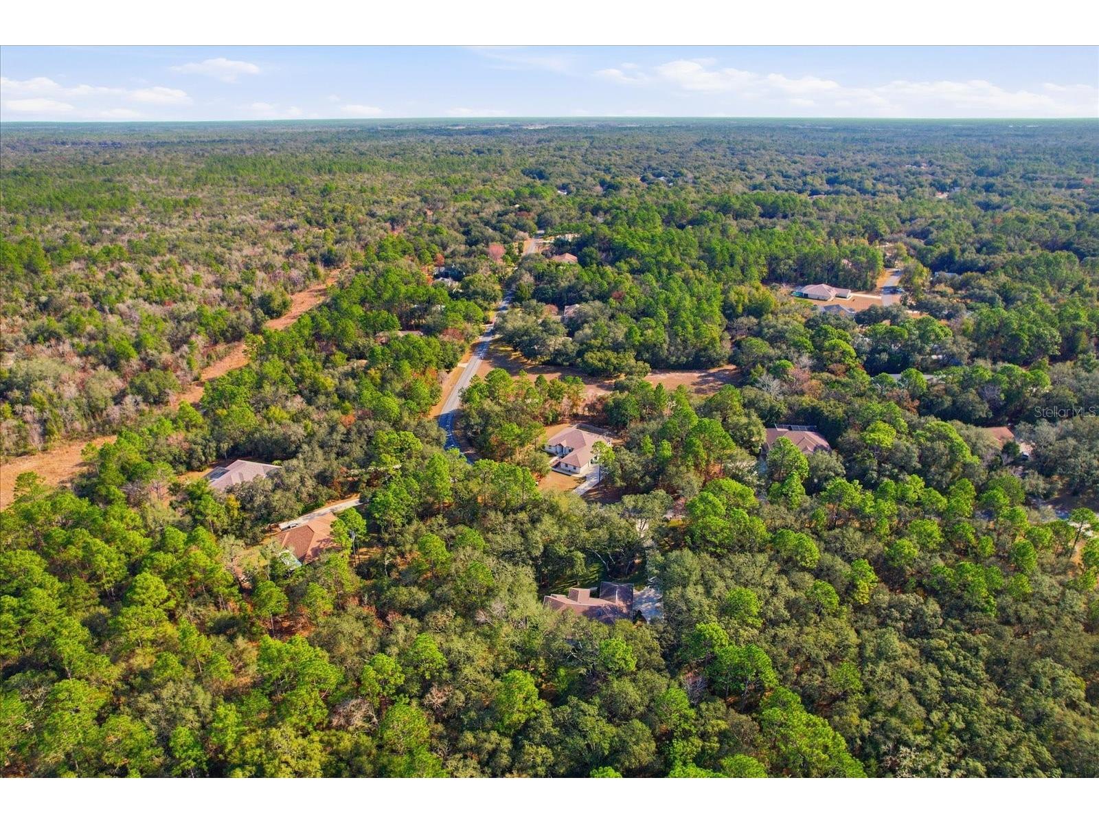 4421 N Little Dove Terrace Hernando FL 34442 TB8460481 image49