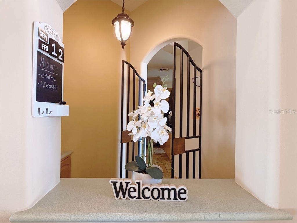 4421 Reaves Road Kissimmee FL 34746 O6353783 image38