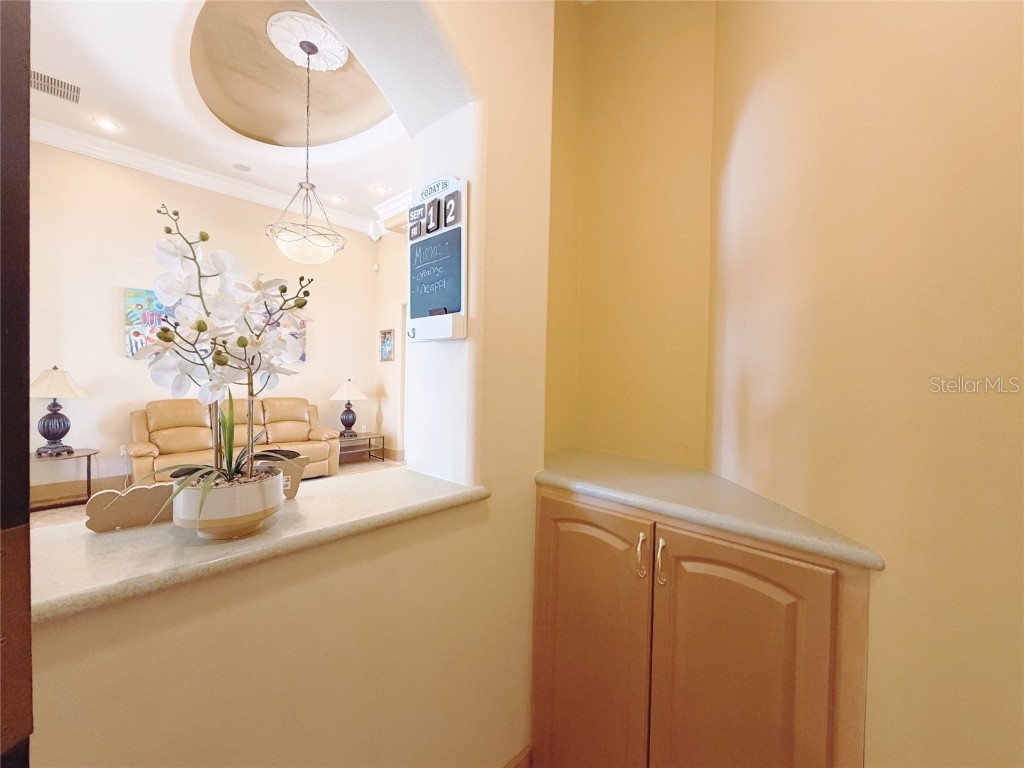 4421 Reaves Road Kissimmee FL 34746 O6353783 image39