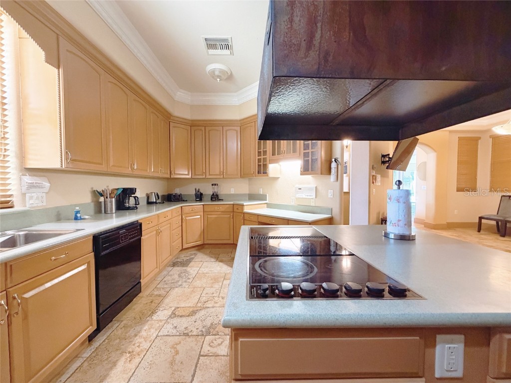 4421 Reaves Road Kissimmee FL 34746 O6353783 image45