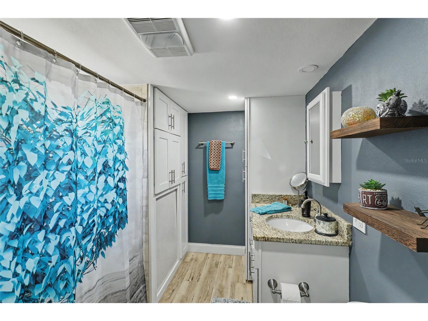 44216 Lake Mack Drive Deland FL 32720 O6410551 image3