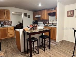 4422 Stillman Street Zephyrhills FL 33542 TB8517278 image17