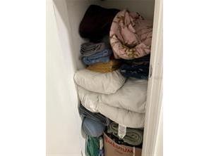 4422 Stillman Street Zephyrhills FL 33542 TB8517278 image32