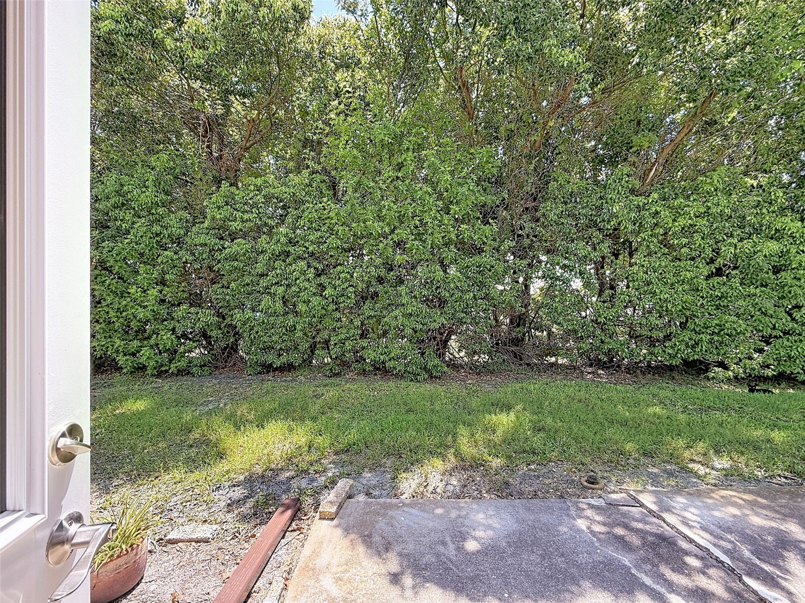 4422 Sunstate Drive New Port Richey FL 34652 W7882053 image40