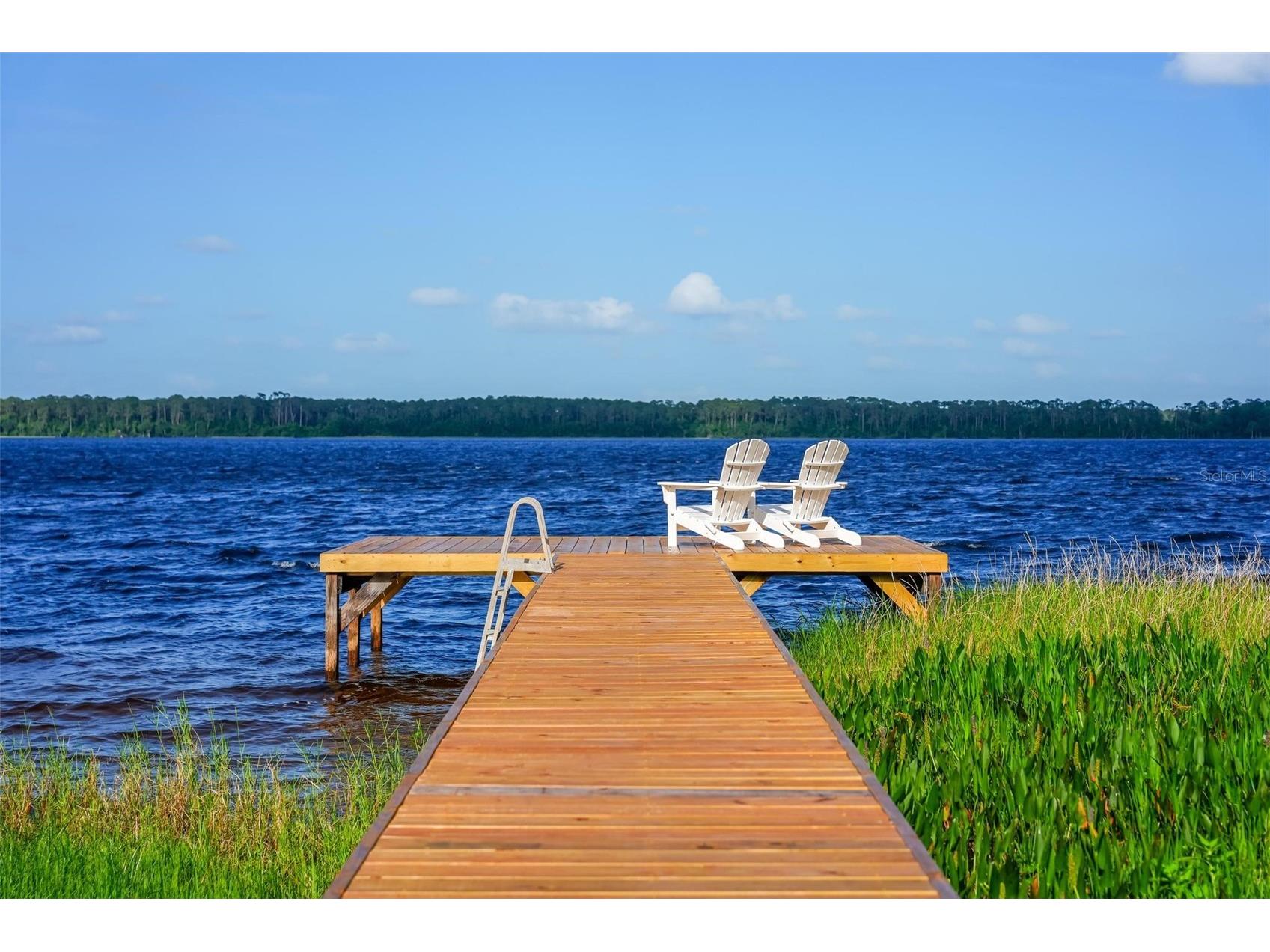 44228 Parkway Lane Altoona FL 32702 - LAKE DORR G5112976 image1