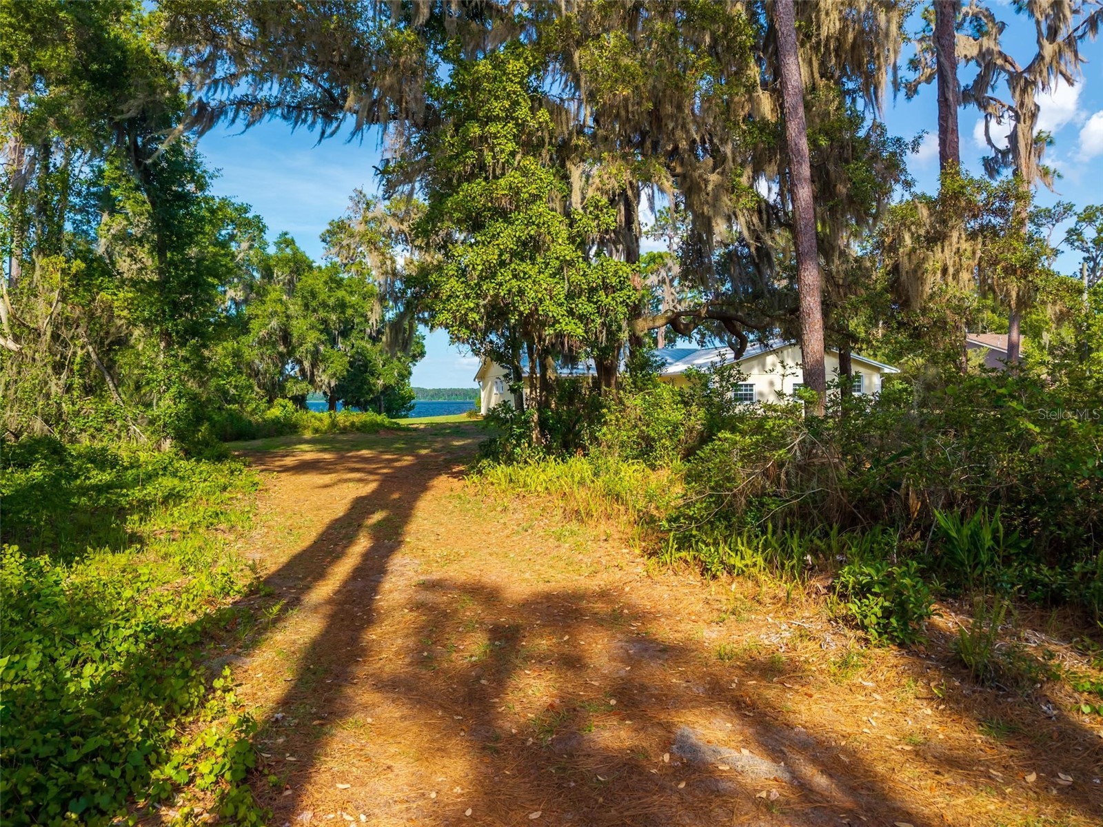 44228 Parkway Lane Altoona FL 32702 - LAKE DORR G5112976 image9