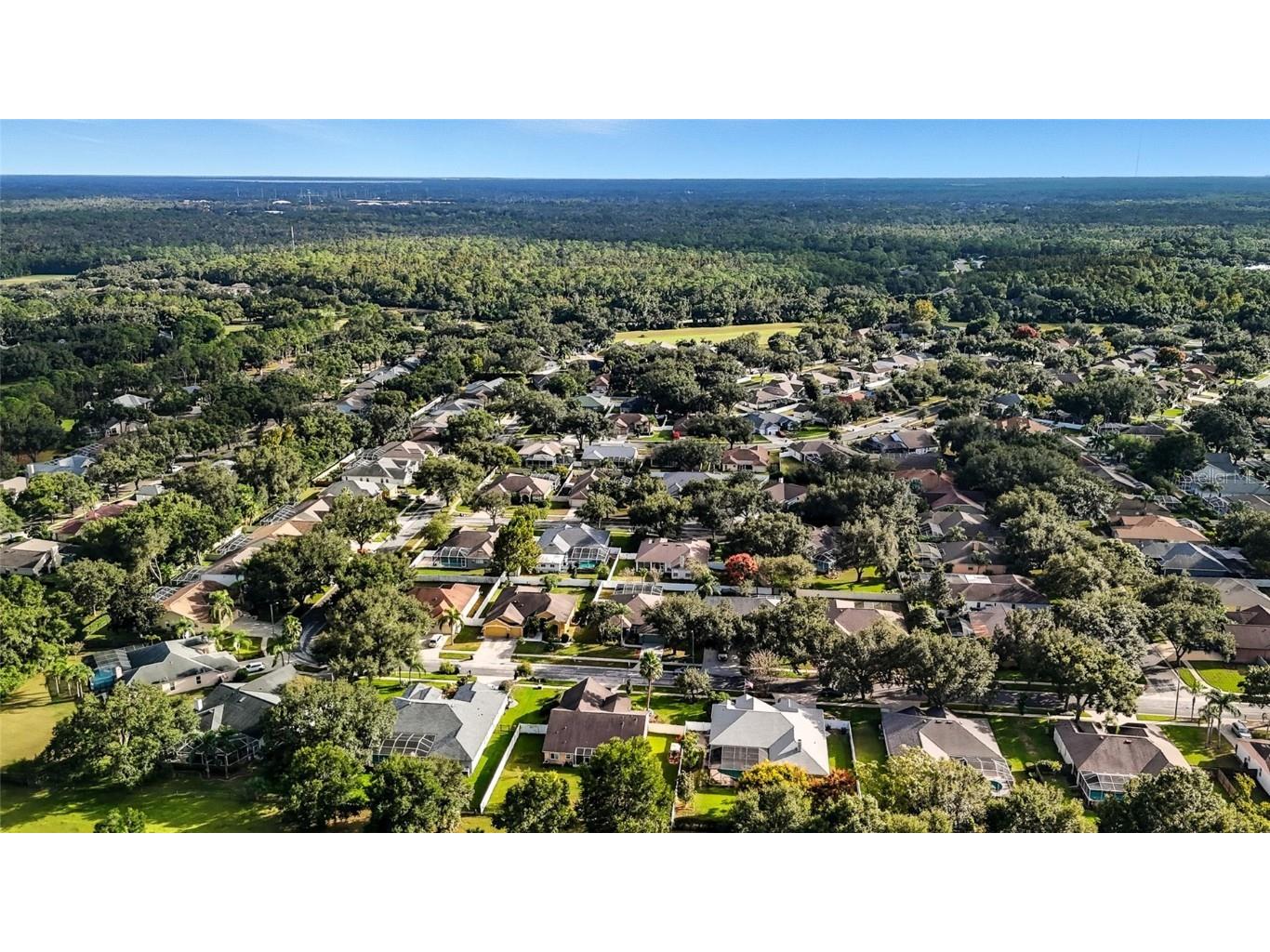 4423 Gentrice Drive Valrico FL 33596 TB8438265 image42