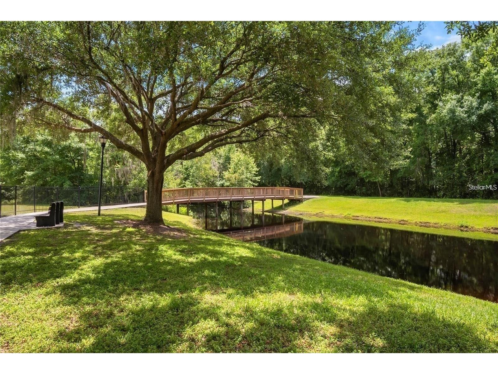 4423 Gentrice Drive Valrico FL 33596 TB8438265 image43