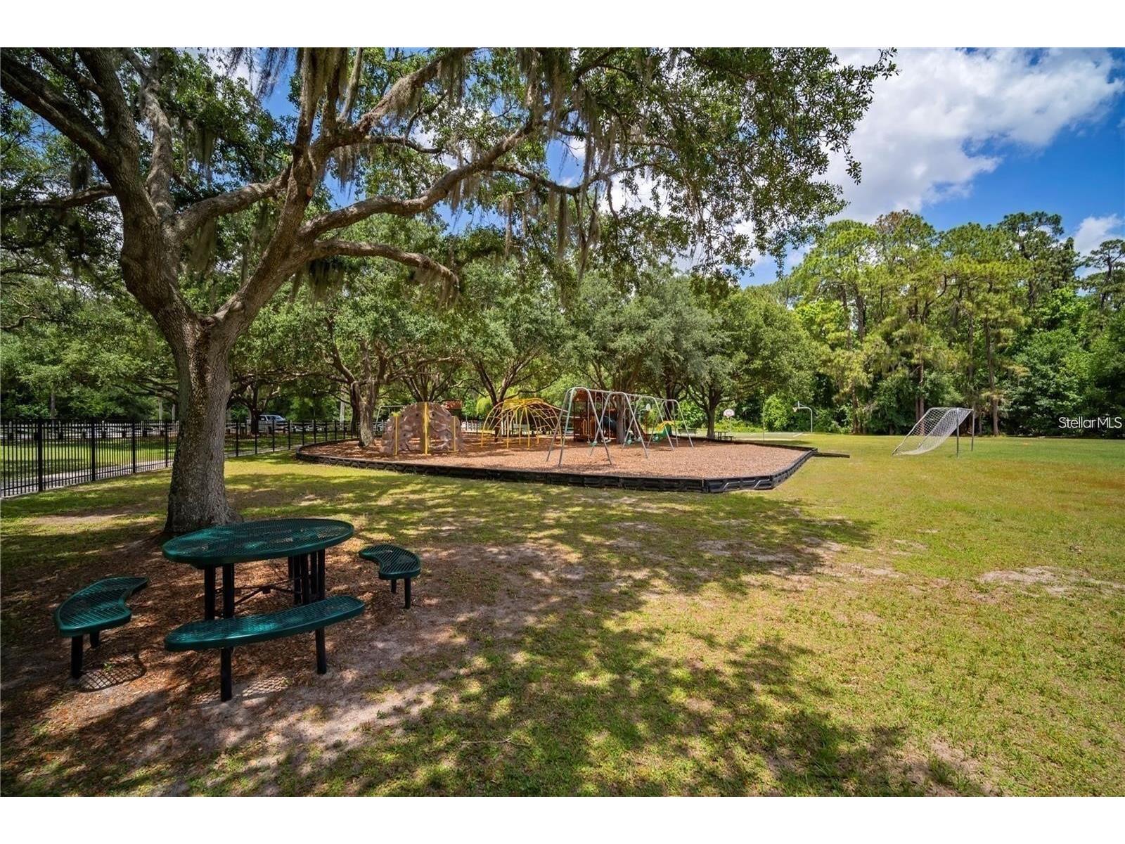 4423 Gentrice Drive Valrico FL 33596 TB8438265 image46