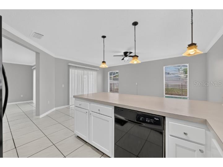 4423 Hamlet Court Kissimmee FL 34746 O6417624 image23