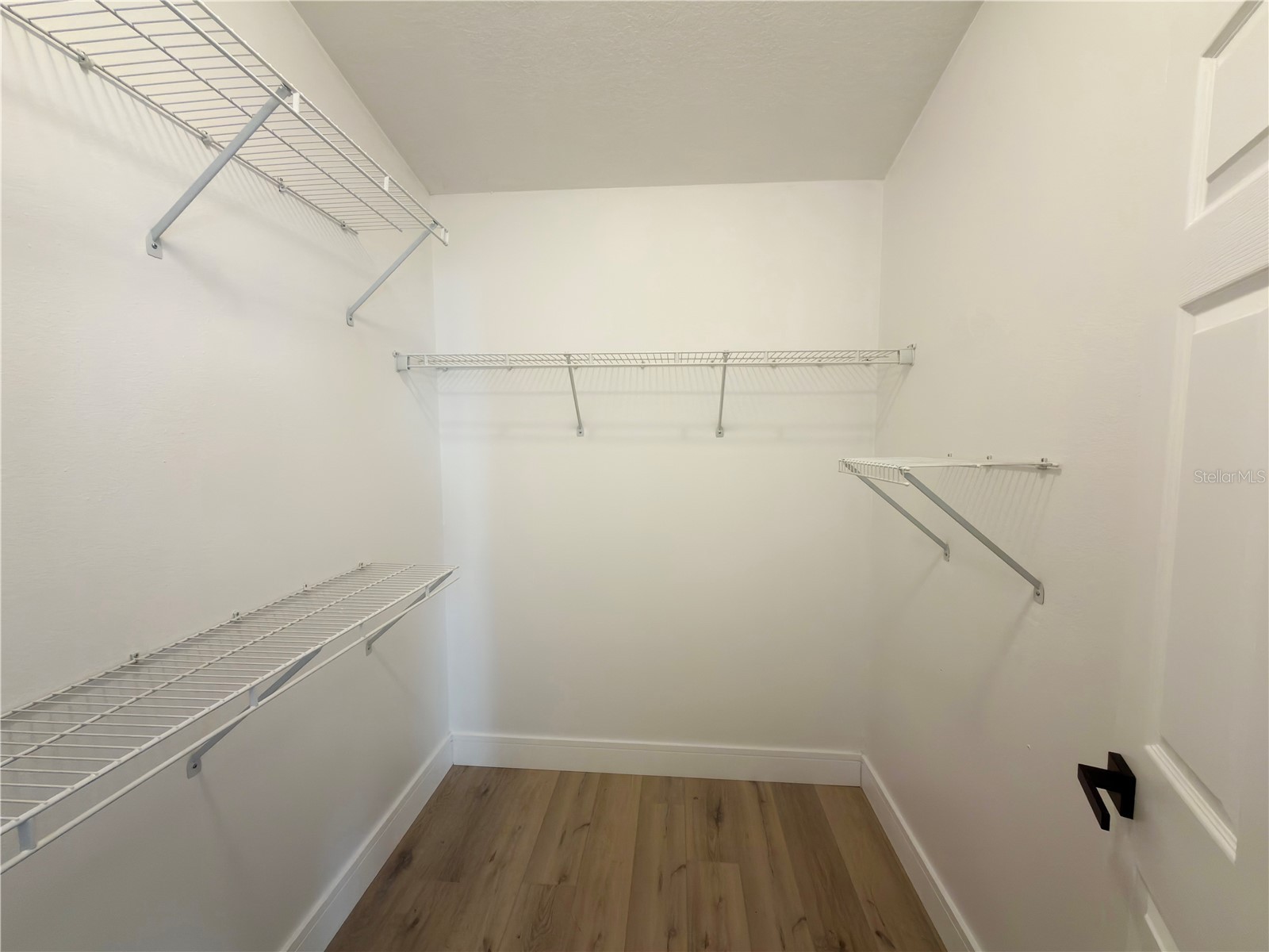 4423 Horseshoe Pick Lane Valrico FL 33594 TB8443130 image25