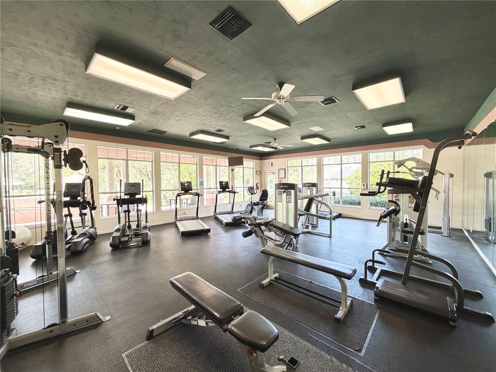 4423 NW 36th Street Gainesville FL 32605 GC536892 image52