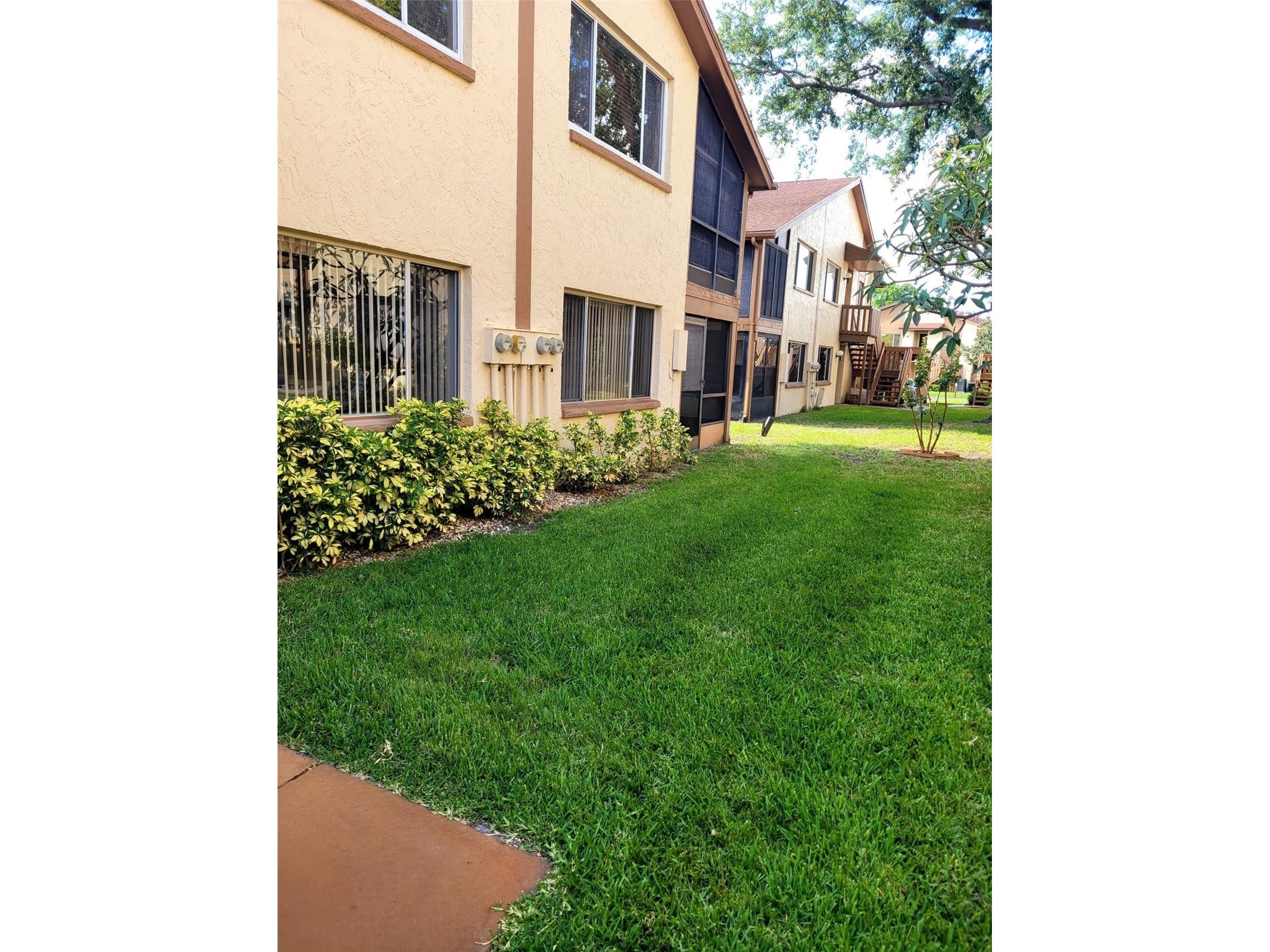 4423 Pelorus Drive #B New Port Richey FL 34652 W7885252 image2