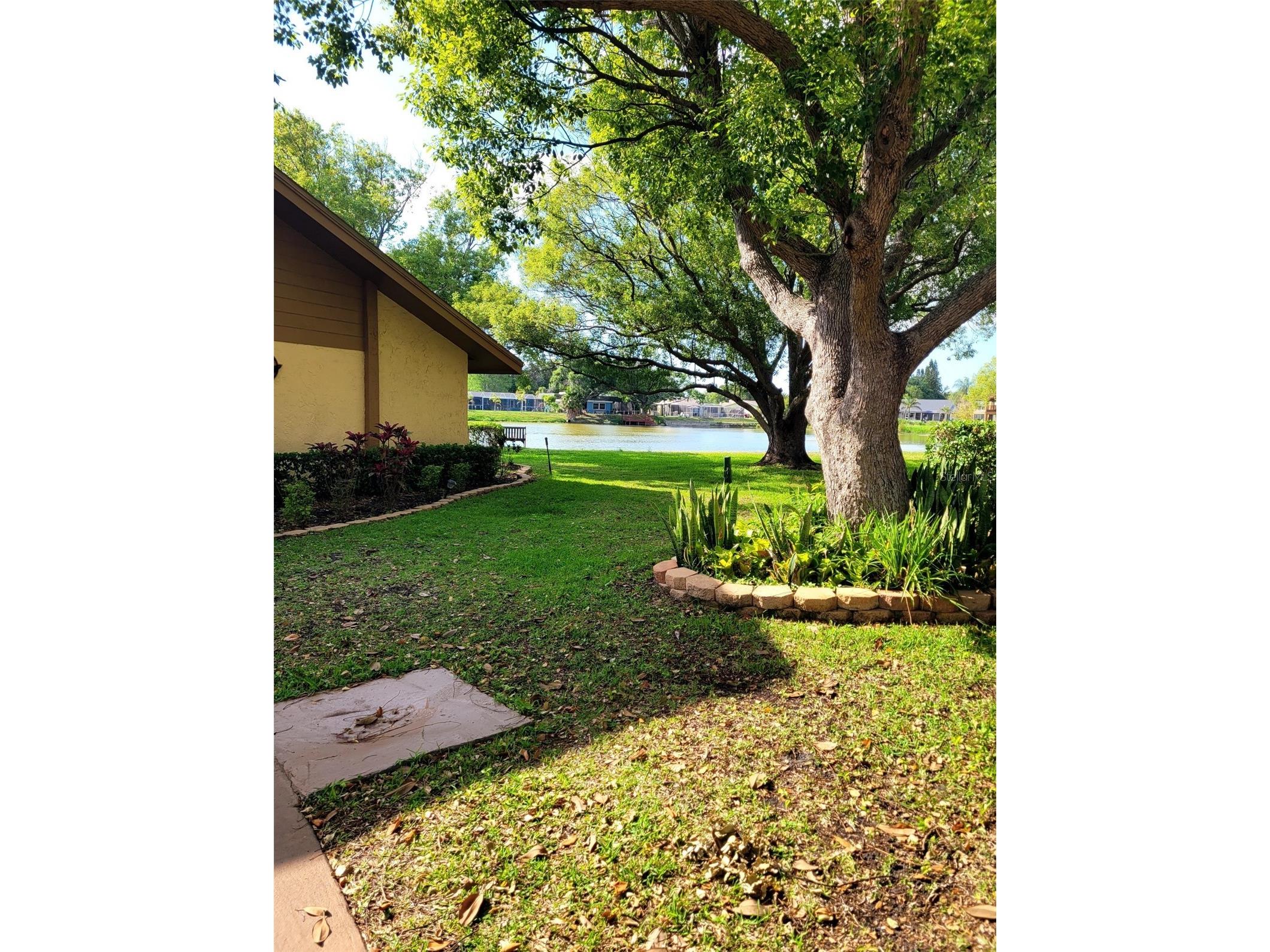 4423 Pelorus Drive #B New Port Richey FL 34652 W7885252 image24