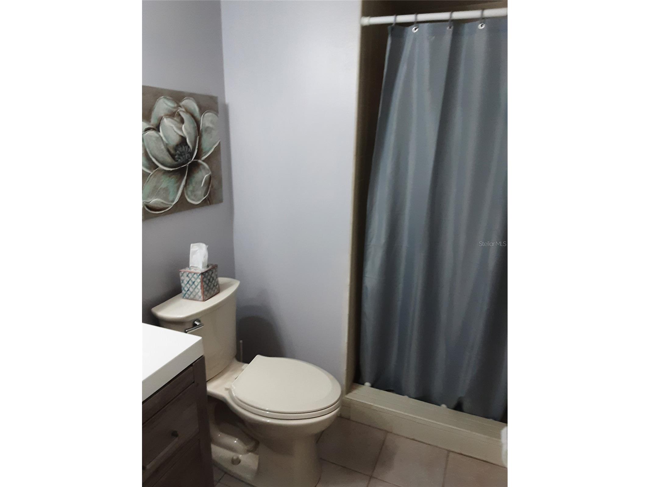 4423 Pelorus Drive #B New Port Richey FL 34652 W7885252 image9