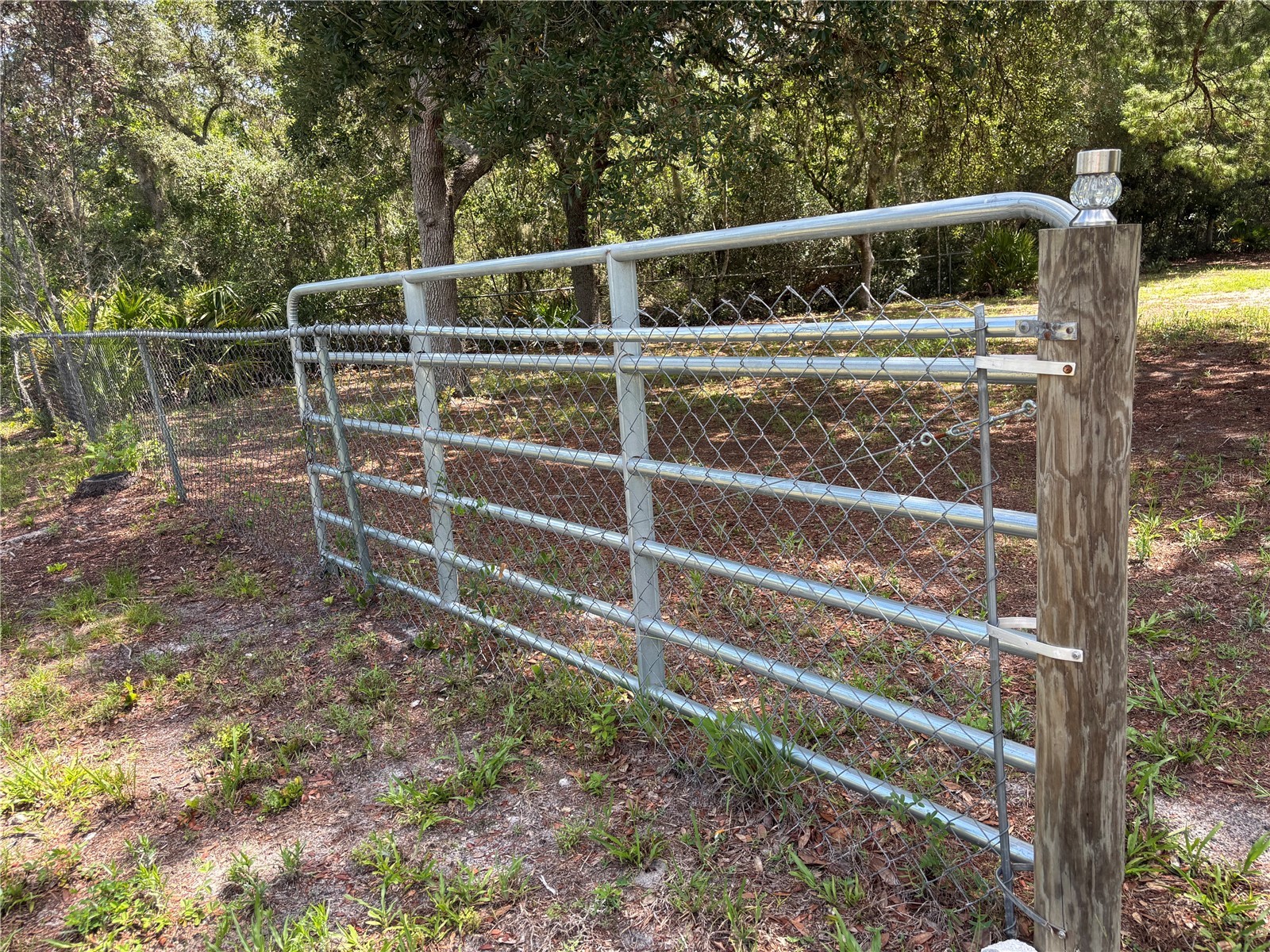 44238 Forest View Road Deland FL 32720 O6417439 image38