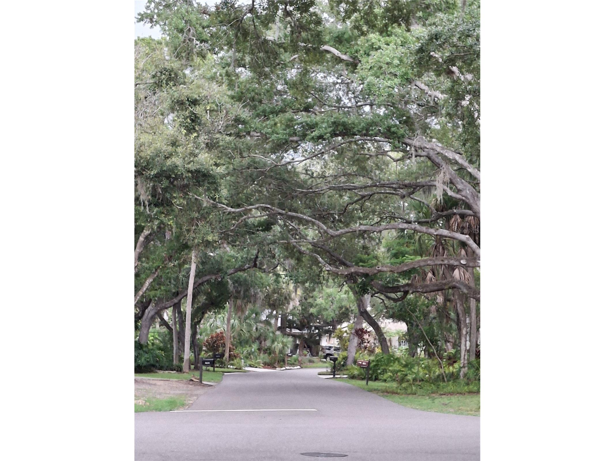 4424 Friar Tuck Lane Sarasota FL 34232 A4698431 image39
