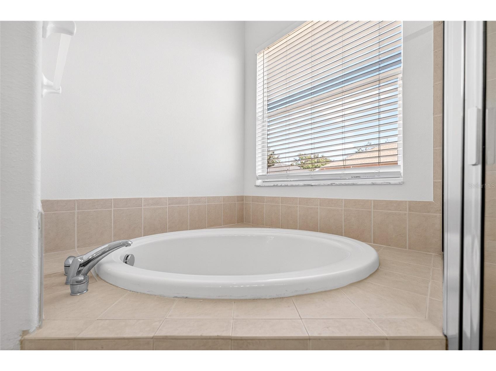 4424 Highcroft Drive Wesley Chapel FL 33545 TB8473461 image30