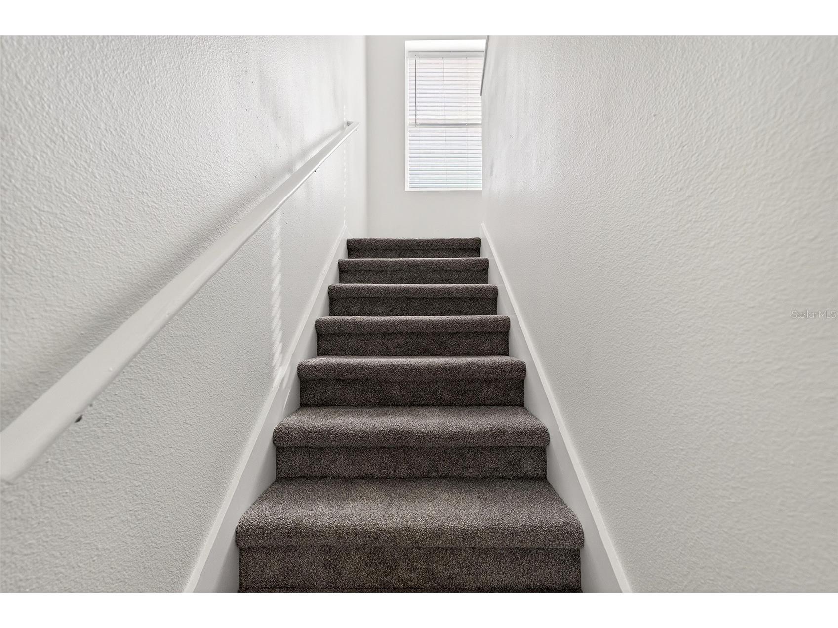4424 Highcroft Drive Wesley Chapel FL 33545 TB8473461 image36