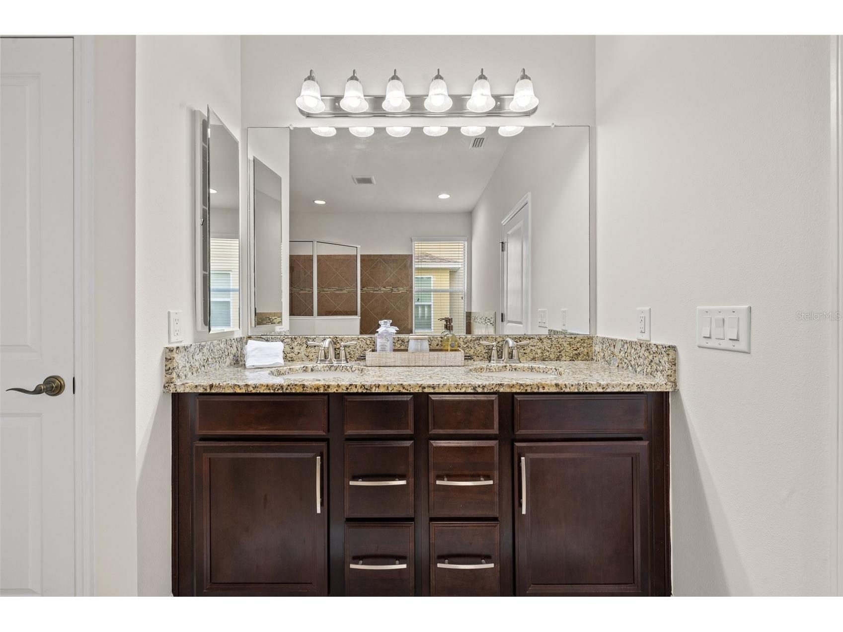 4424 Vermillion Sky Drive Wesley Chapel FL 33544 TB8512095 image36