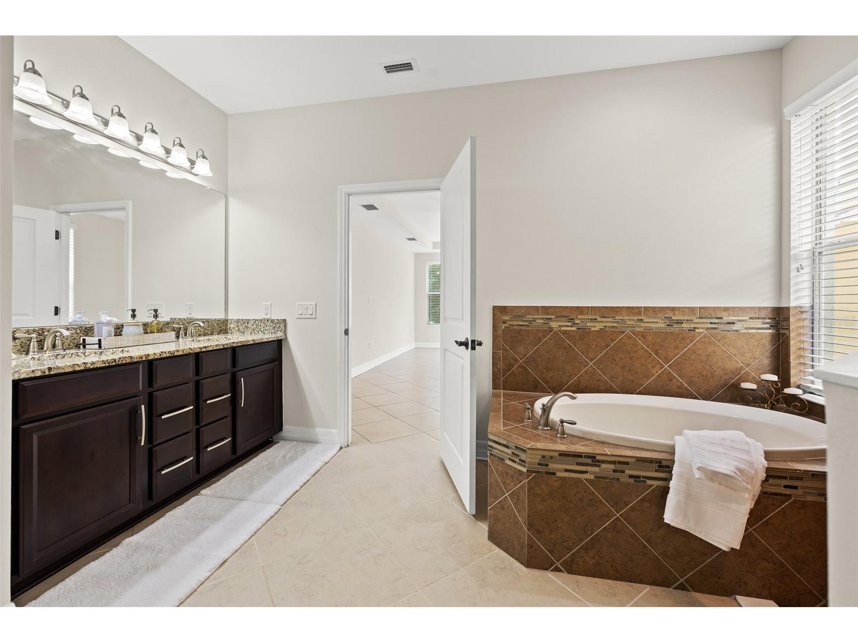 4424 Vermillion Sky Drive Wesley Chapel FL 33544 TB8512095 image38
