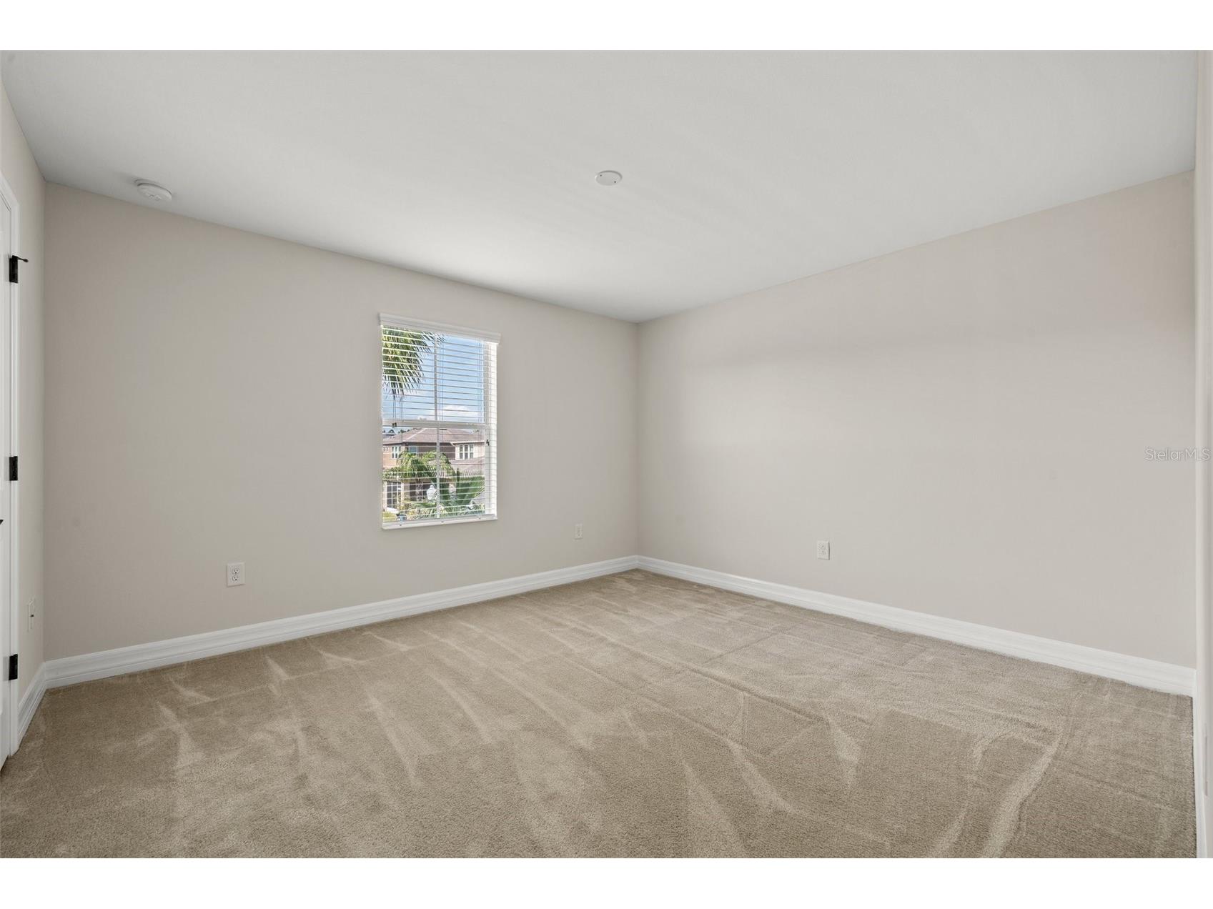 4424 Vermillion Sky Drive Wesley Chapel FL 33544 TB8512095 image48