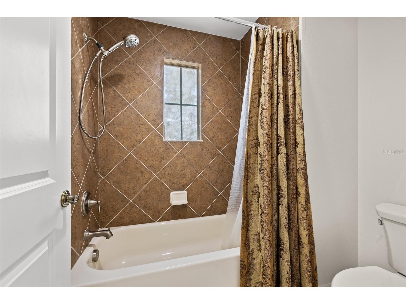 4424 Vermillion Sky Drive Wesley Chapel FL 33544 TB8512095 image50