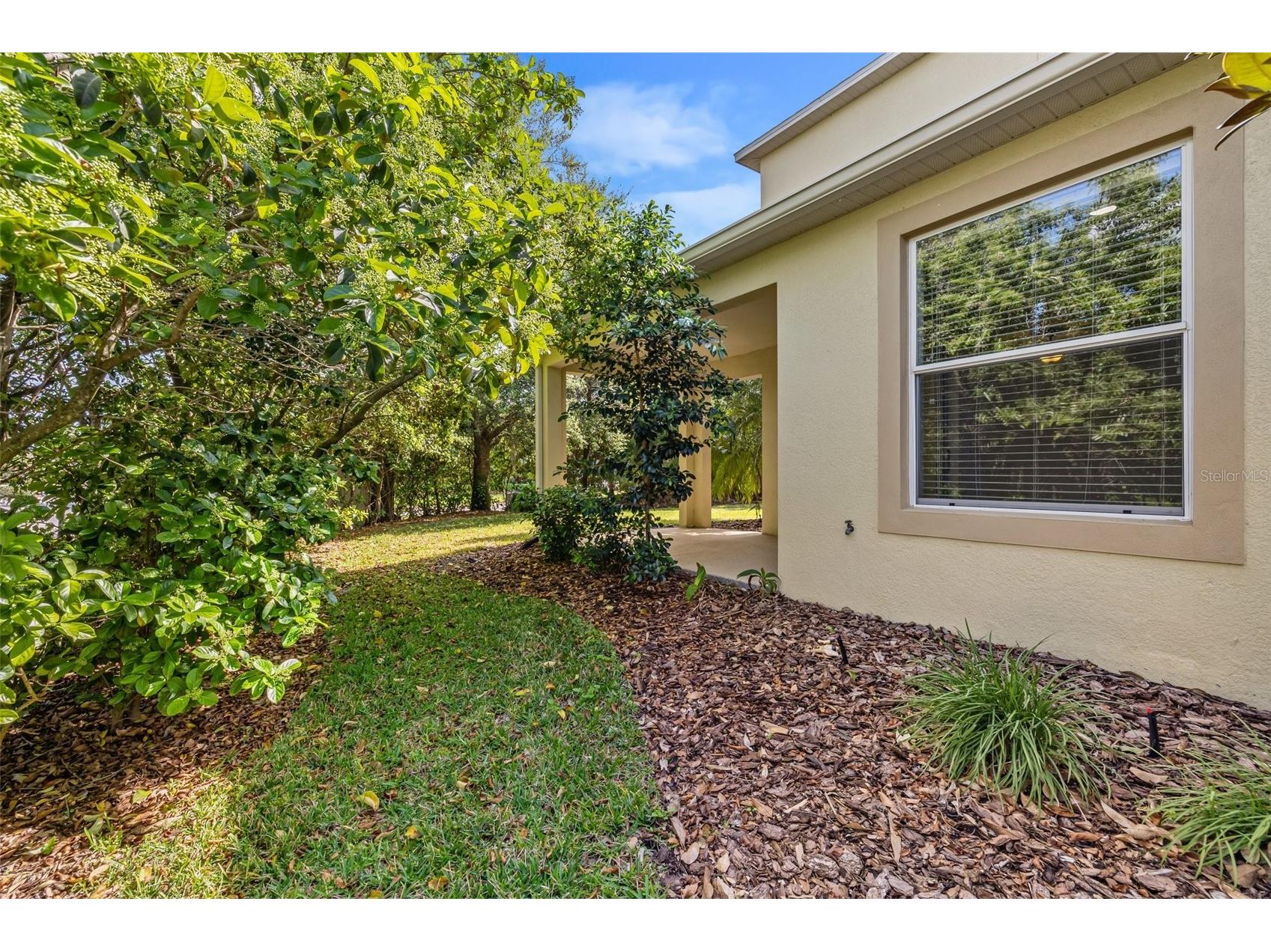 4424 Vermillion Sky Drive Wesley Chapel FL 33544 TB8512095 image56
