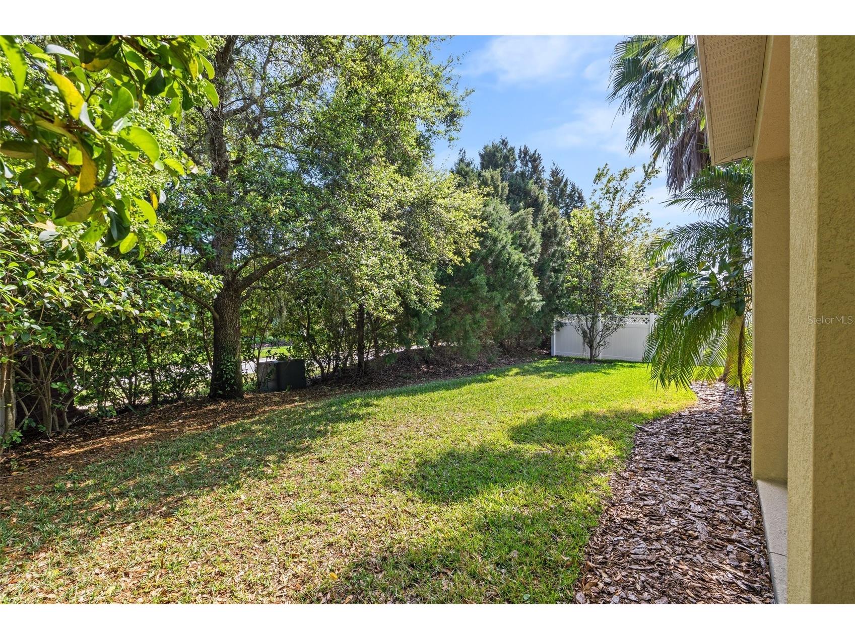 4424 Vermillion Sky Drive Wesley Chapel FL 33544 TB8512095 image57