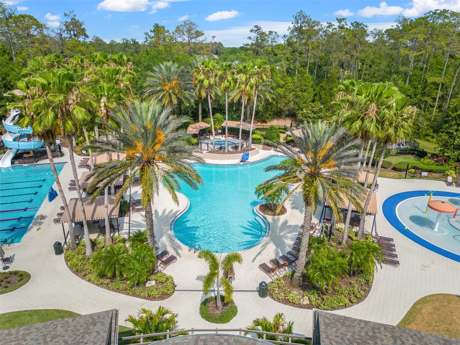 4424 Vermillion Sky Drive Wesley Chapel FL 33544 TB8512095 image58