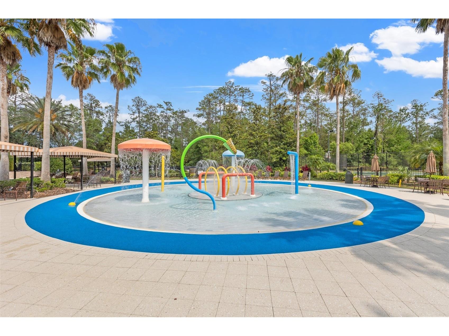 4424 Vermillion Sky Drive Wesley Chapel FL 33544 TB8512095 image59