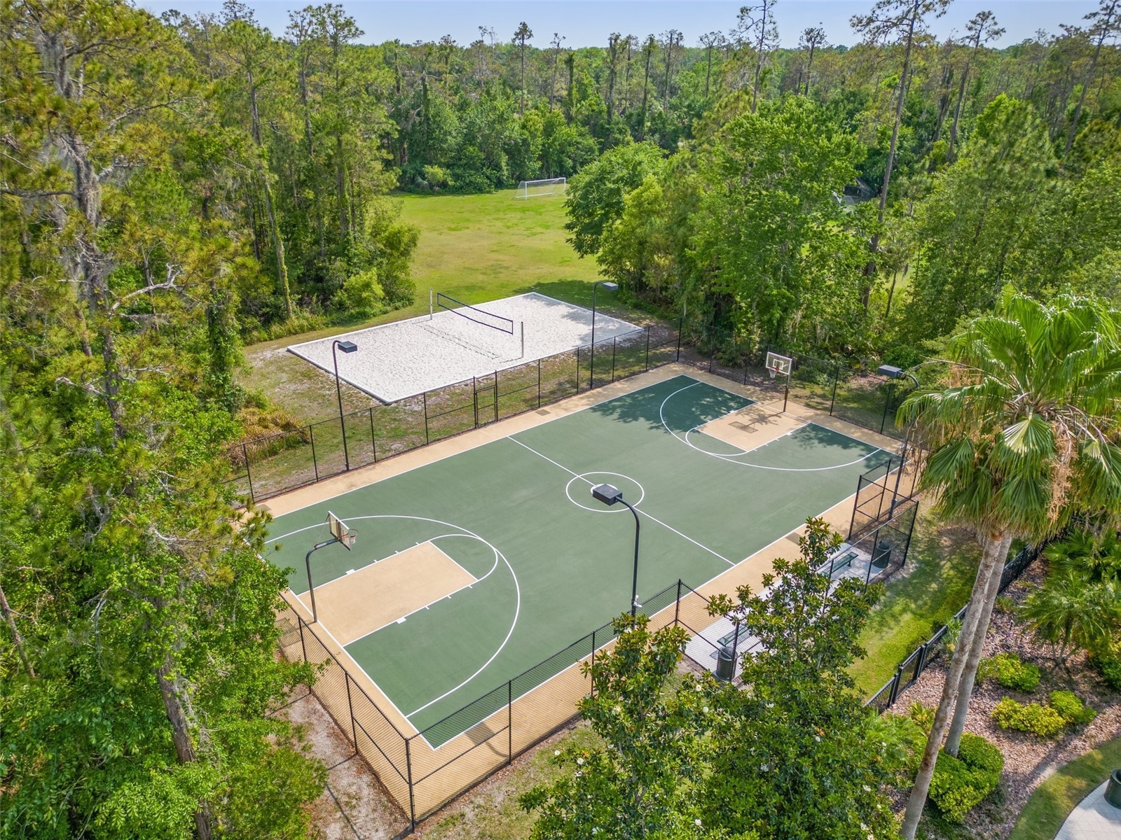 4424 Vermillion Sky Drive Wesley Chapel FL 33544 TB8512095 image67