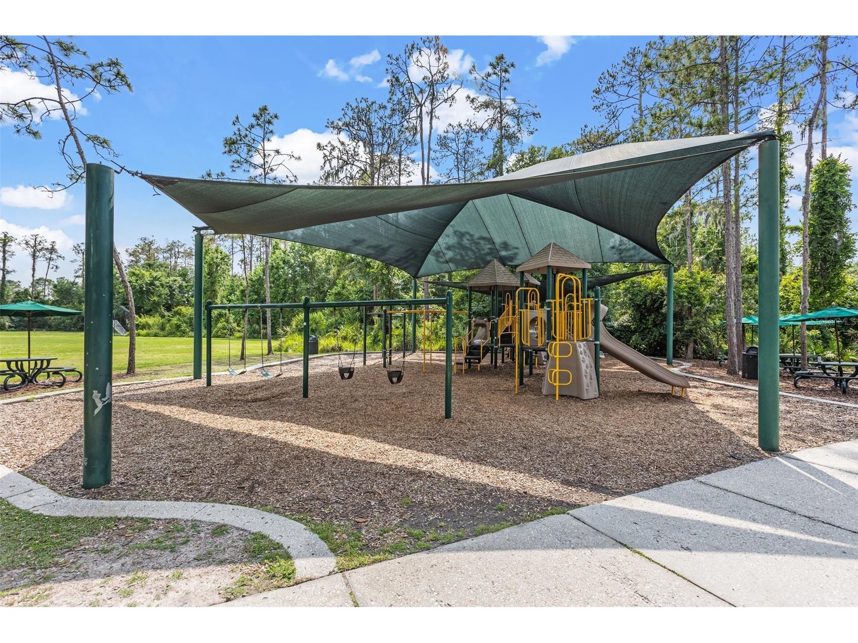 4424 Vermillion Sky Drive Wesley Chapel FL 33544 TB8512095 image68